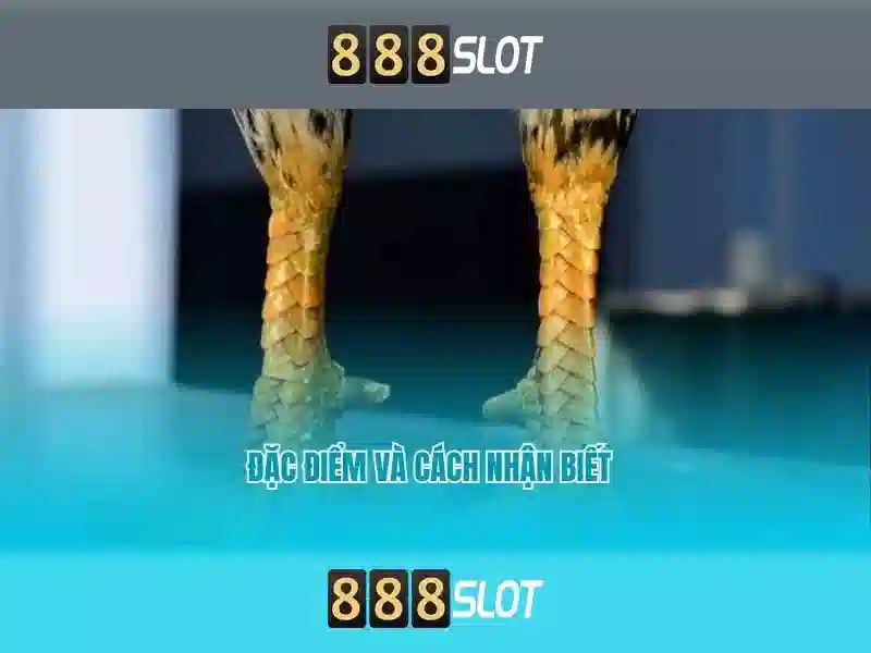 888slot - Đánh giá và Trải nghiệm Slot Trực Tuyến