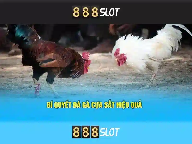 888slot - Giới thiệu nền tảng slot trực tuyến hàng đầu