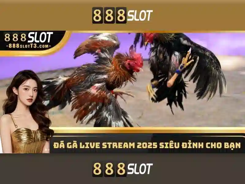 888slot: Khám phá nền tảng casino trực tuyến nổi bật