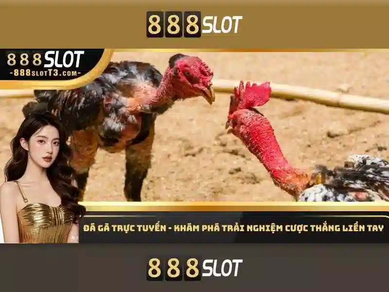 888slot là gì? - Đánh giá và trải nghiệm chơi slot trực tuyến
