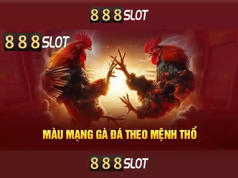 888slot là nền tảng slot trực tuyến phổ biến