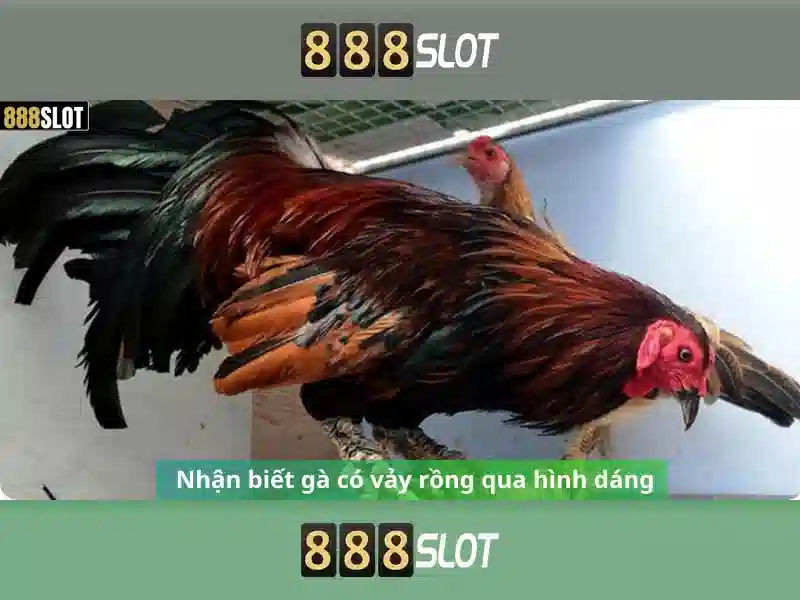 888 slot có uy tin không – Tổng quan chủ đề và giá trị cốt lõi
