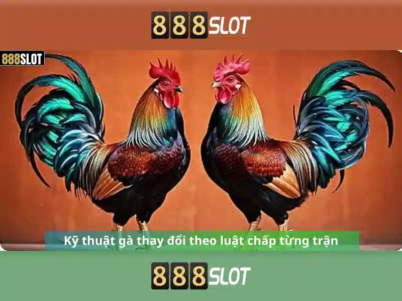 Tính năng và thưởng