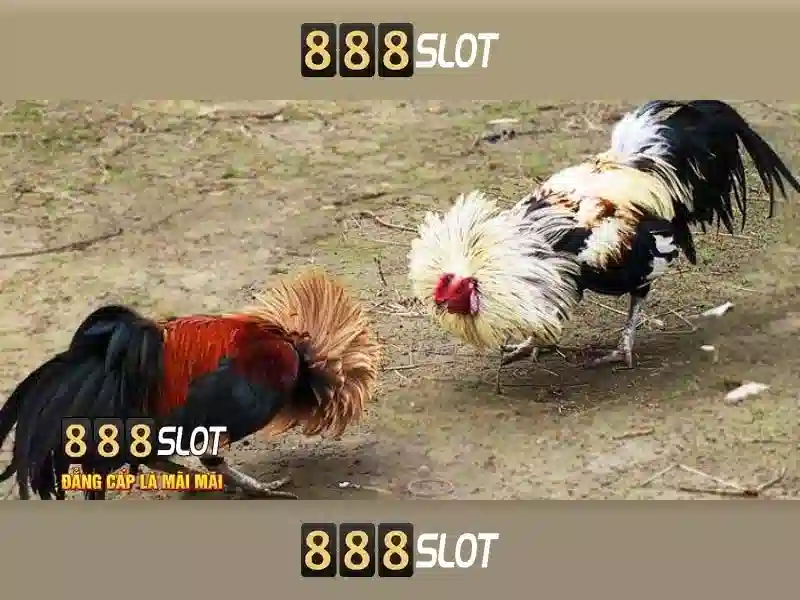 888slot - nền tảng chơi slot trực tuyến uy tín