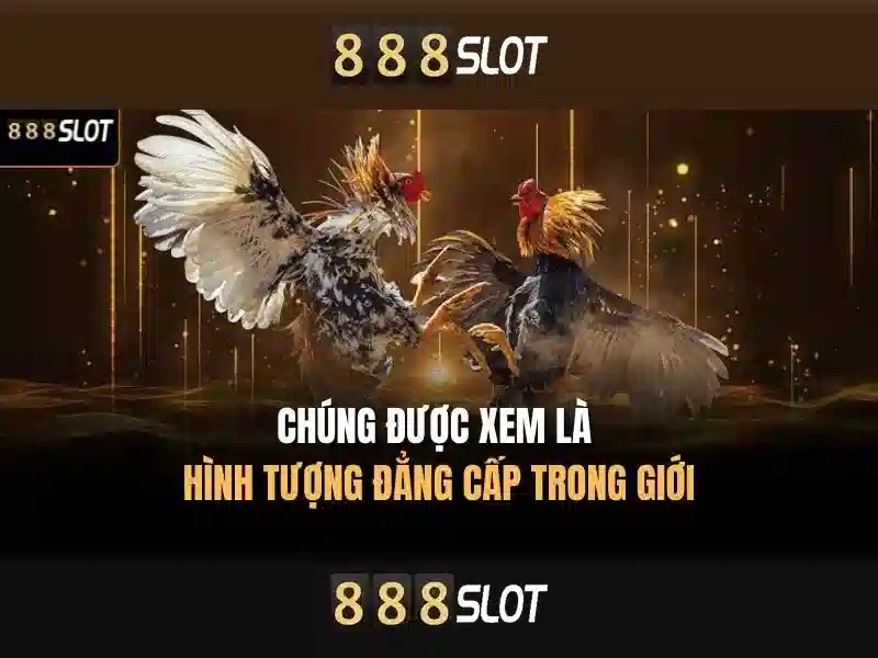 An toàn và bảo mật
