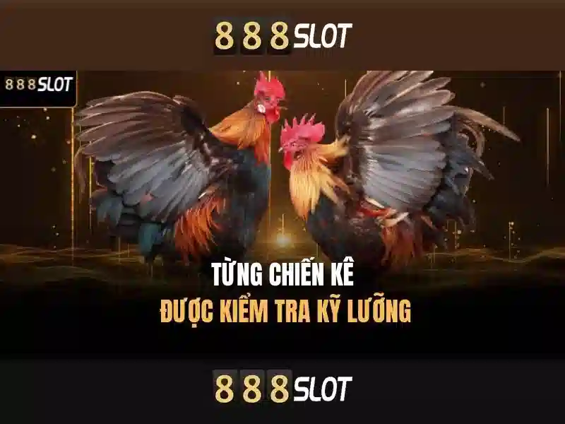 Thanh toán và hỗ trợ