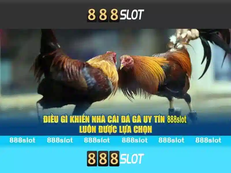 888slot: Nền tảng slot trực tuyến đáng tin cậy và thú vị