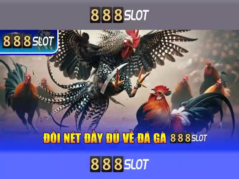888slot - Nền tảng trò chơi xèng trực tuyến tại Việt Nam
