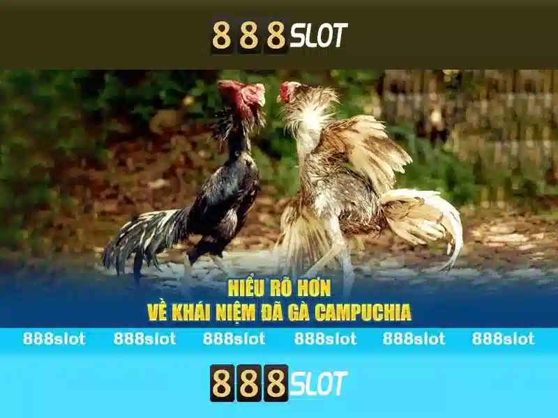 888slot - Đánh giá tổng quan về nền giải trí casino trực tuyến