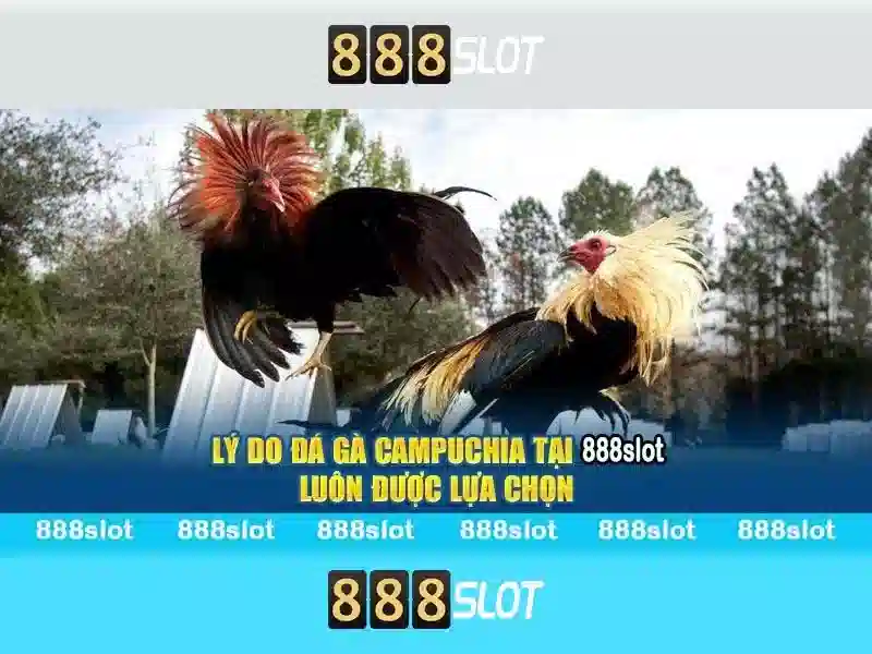 Giới thiệu về 888slot