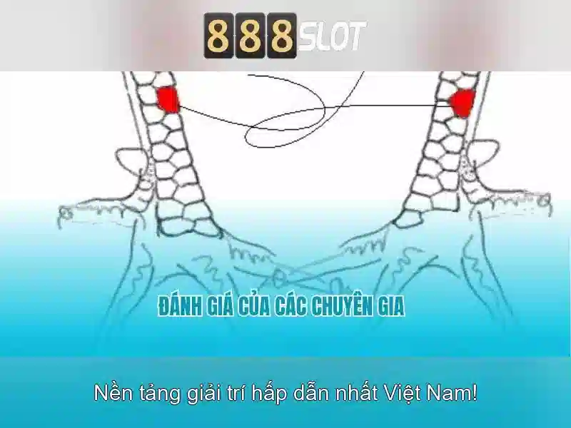 888slot: Đánh giá tổng quan và trải nghiệm người chơi