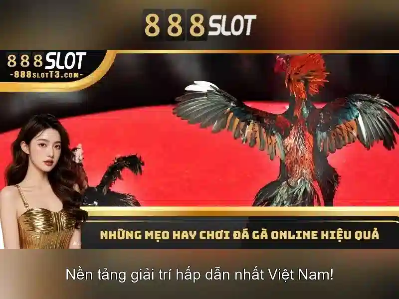 Hướng dẫn tham gia