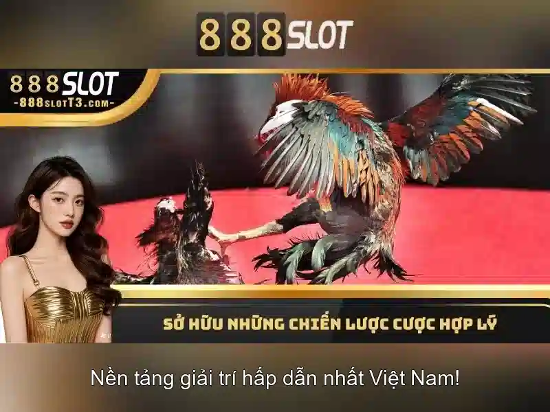 Sản phẩm và trò chơi