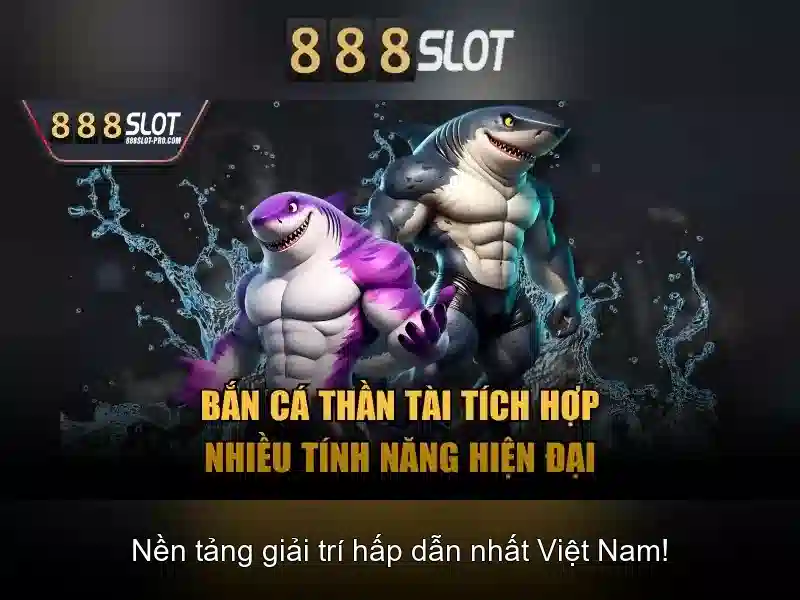 Hỗ trợ và trách nhiệm