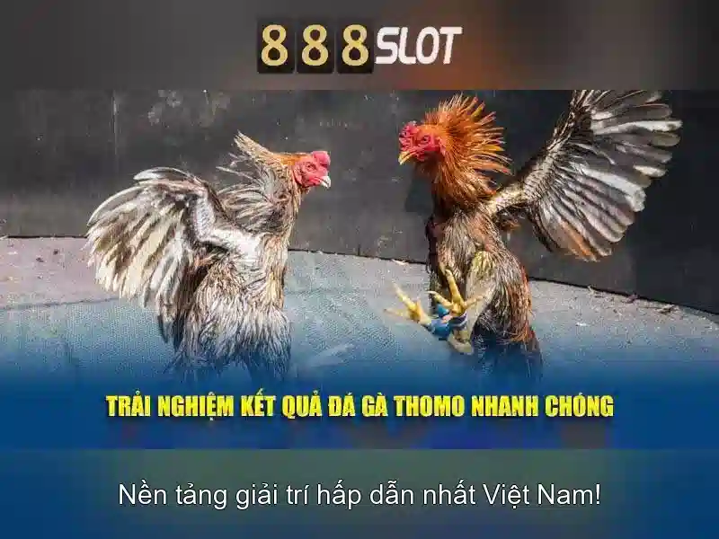 Thanh toán và bảo mật\n\n