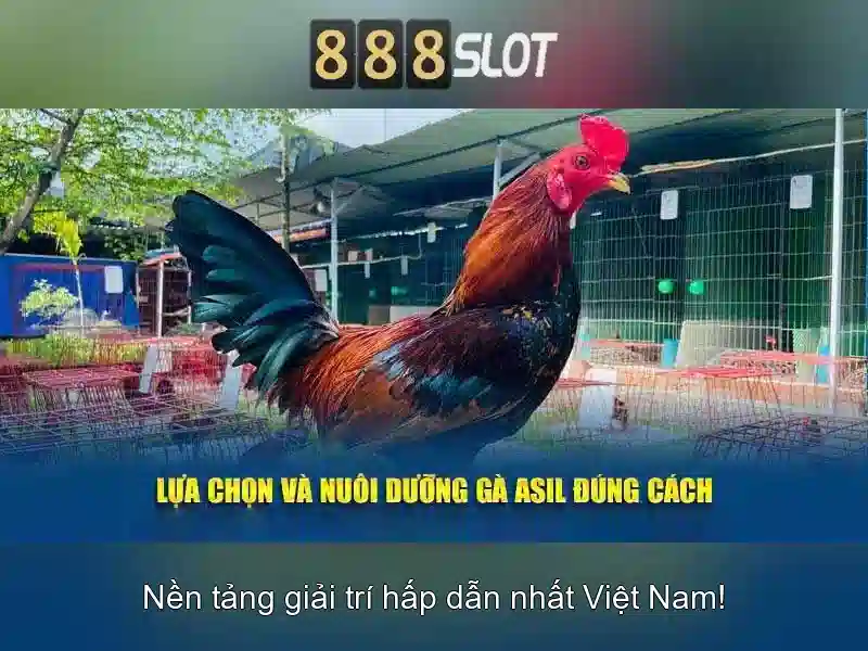 888slot – Sân chơi slot trực tuyến đa dạng