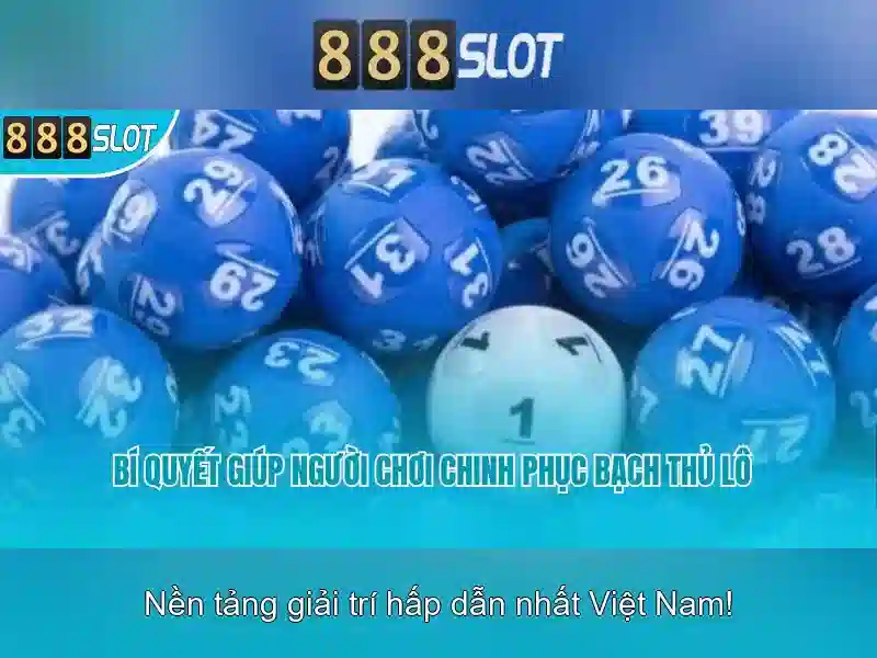 Trải nghiệm người dùng và giao diện\n\n