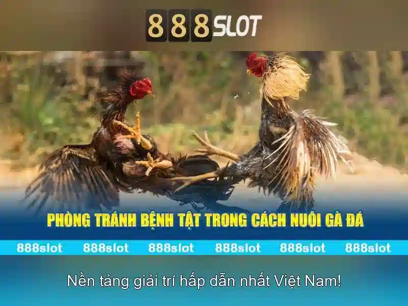 888slot: trải nghiệm slot online đáng tin cậy với nhiều trò chơi hấp dẫn
