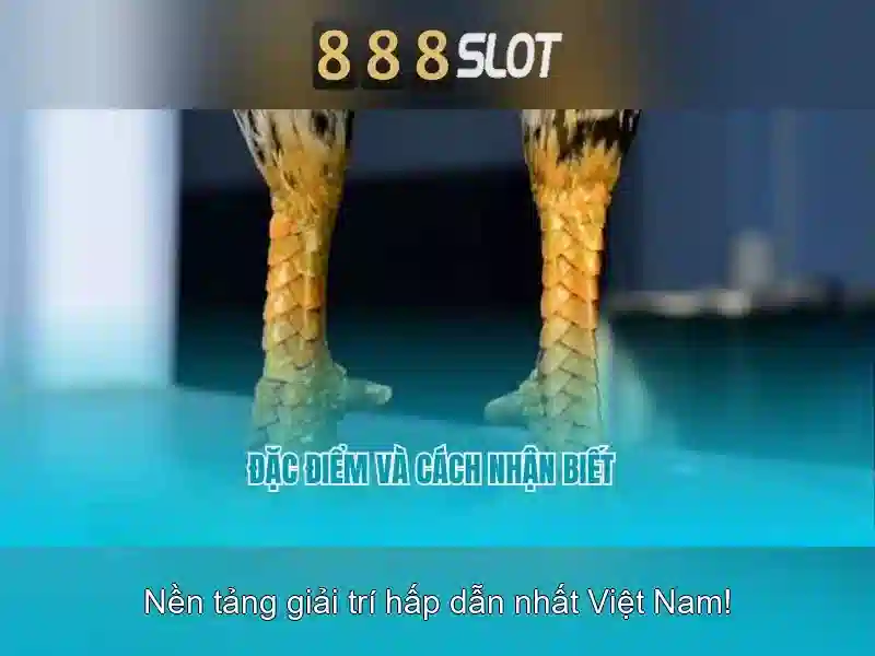 888slot: Nền tảng slot trực tuyến nổi bật