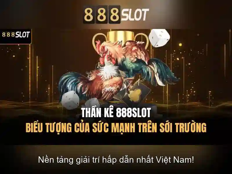 Hỗ trợ khách hàng và trải nghiệm người dùng